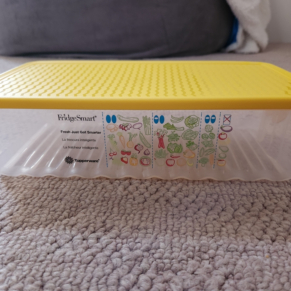New Tupperware Fridge Smart size Large
